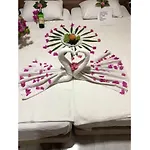 Speedy 4*