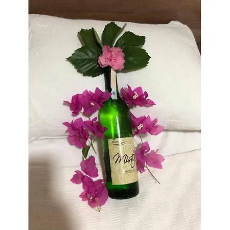 Speedy Aparthotel 4*